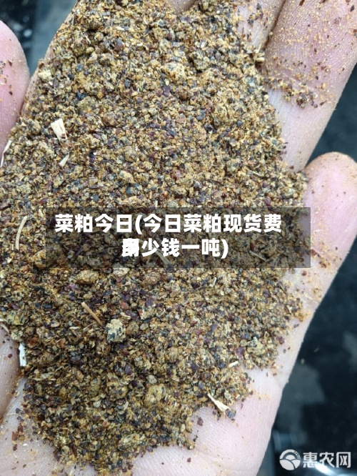菜粕今日(今日菜粕现货费用多少钱一吨)