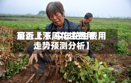 最近【下周花生费用可否上涨,今年花生费用走势预测分析】