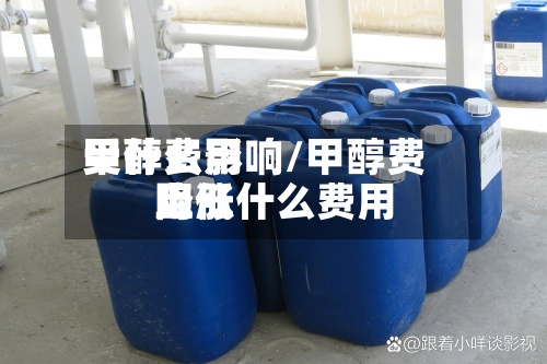 甲醇费用
受什么影响/甲醇费用
降低什么费用
上涨-第2张图片