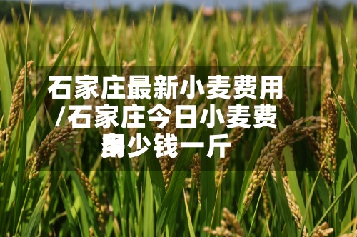 石家庄最新小麦费用/石家庄今日小麦费用多少钱一斤-第2张图片