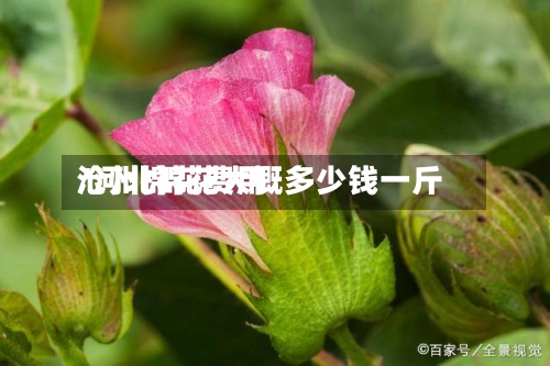 沧州棉花费用
/河北棉花大概多少钱一斤-第3张图片