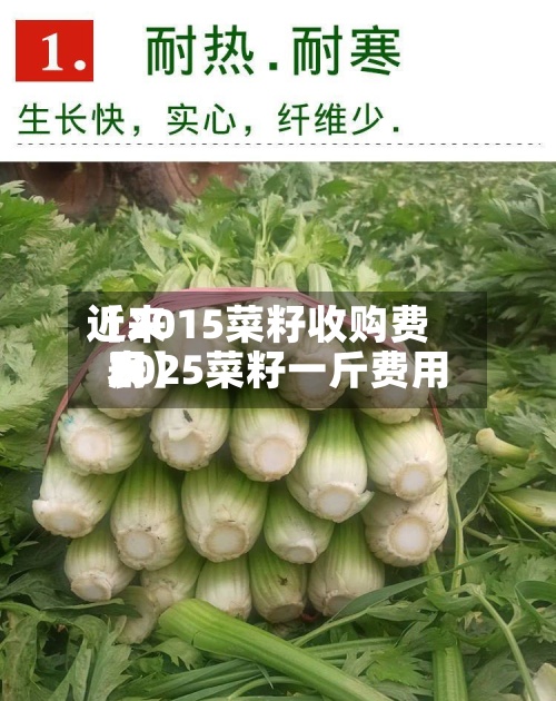 近来
【2015菜籽收购费用
2025菜籽一斤费用
表】-第3张图片