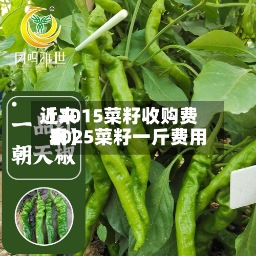 近来【2015菜籽收购费用2025菜籽一斤费用表】