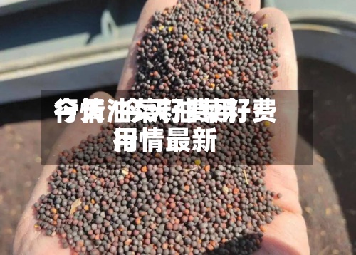 今天油菜籽费用行情/今天油菜籽费用行情最新