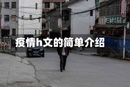 疫情h文的简单介绍