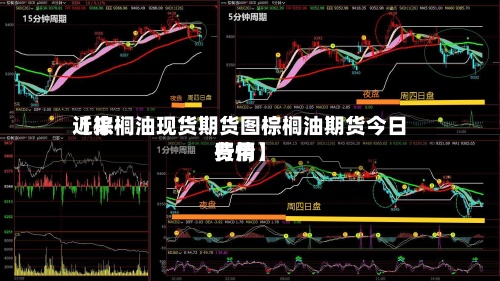 近来【棕榈油现货期货图棕榈油期货今日费用行情】