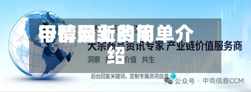 甲醇网上费用
行情最新的简单介绍-第2张图片