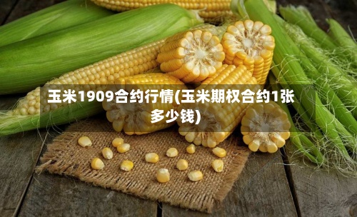 玉米1909合约行情(玉米期权合约1张多少钱)