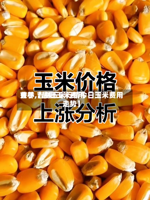 关于【最新玉米费用
吉林,吉林玉米行情今日玉米费用
走势】-第2张图片