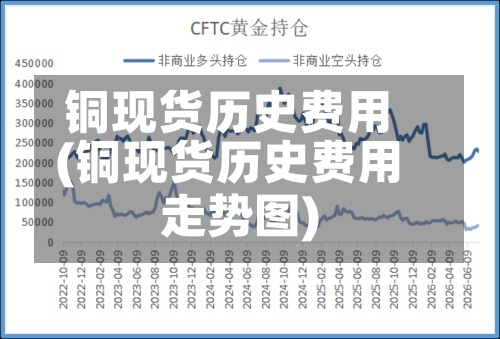 铜现货历史费用(铜现货历史费用走势图)