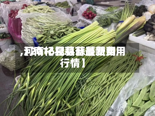 【2016杞县蒜薹费用,河南杞县蒜苔最新费用行情】