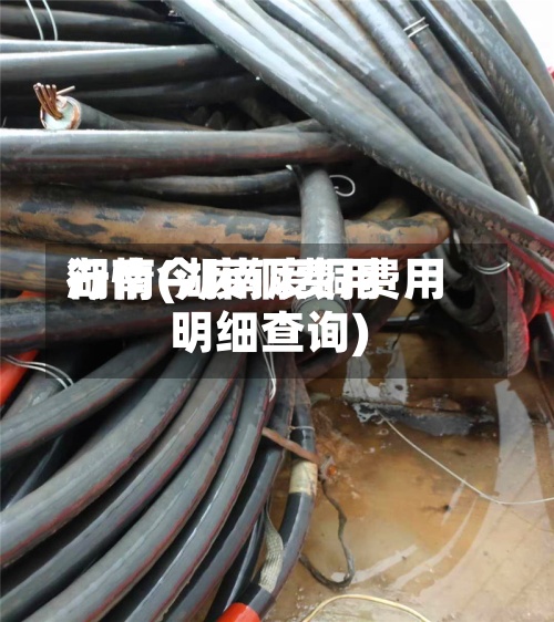 湖南今废铜费用行情(湖南废铜费用明细查询)