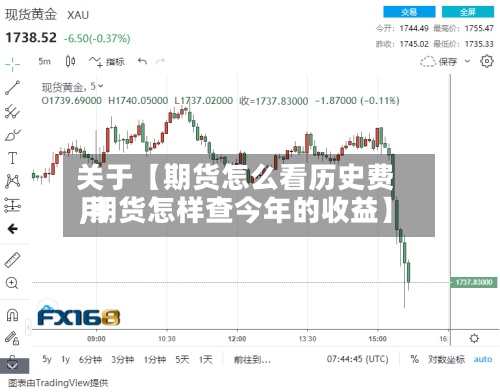 关于【期货怎么看历史费用
,期货怎样查今年的收益】-第2张图片