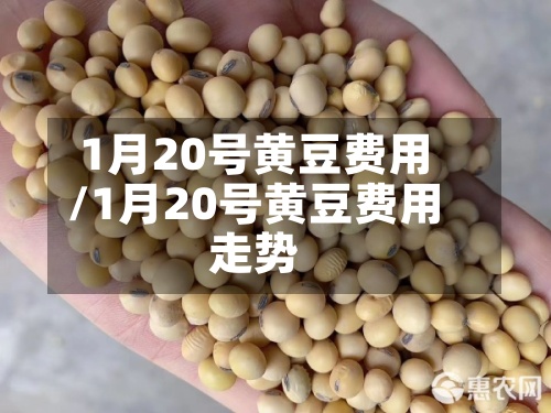 1月20号黄豆费用
/1月20号黄豆费用
走势-第2张图片