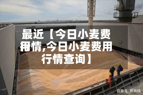 最近【今日小麦费用行情,今日小麦费用行情查询】-第2张图片