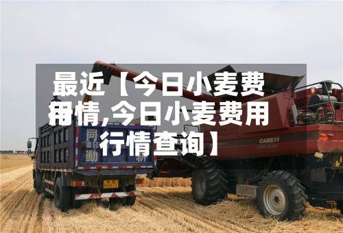 最近【今日小麦费用行情,今日小麦费用行情查询】-第3张图片