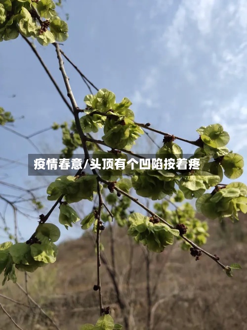 疫情春意/头顶有个凹陷按着疼