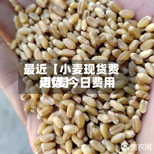 最近【小麦现货费用
,小麦今日费用
走势】-第2张图片