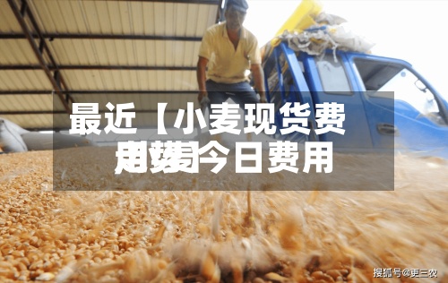 最近【小麦现货费用
,小麦今日费用
走势】-第3张图片