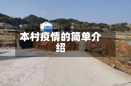 本村疫情的简单介绍