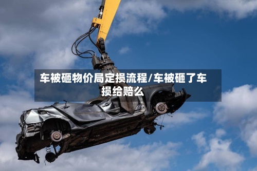 车被砸物价局定损流程/车被砸了车损给赔么-第3张图片