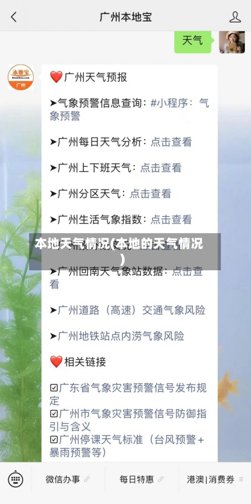 本地天气情况(本地的天气情况)