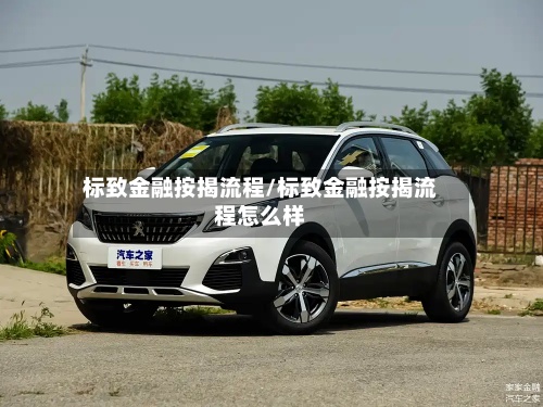 标致金融按揭流程/标致金融按揭流程怎么样