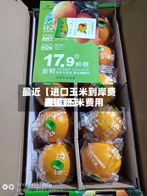 最近【进口玉米到岸费用,进口玉米费用表最新】-第2张图片