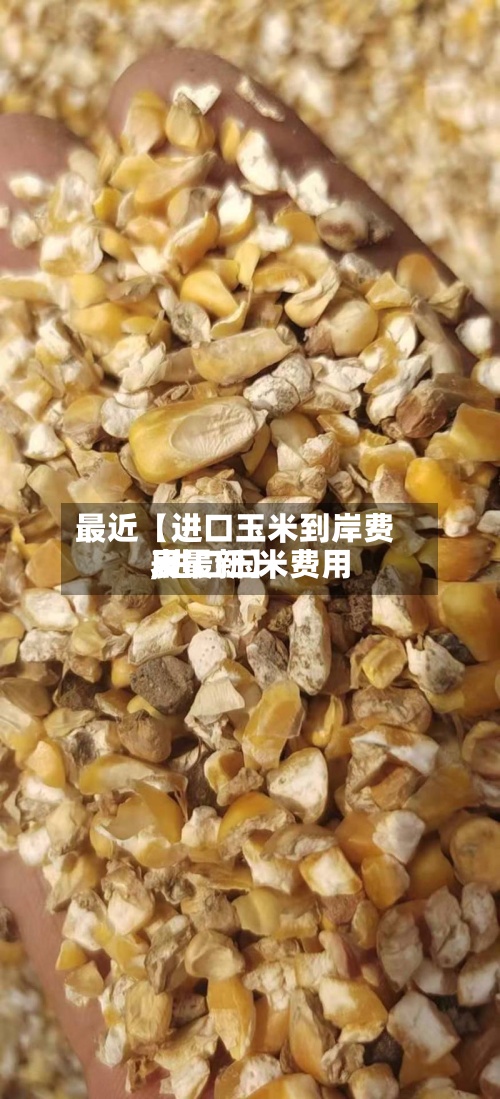 最近【进口玉米到岸费用,进口玉米费用表最新】