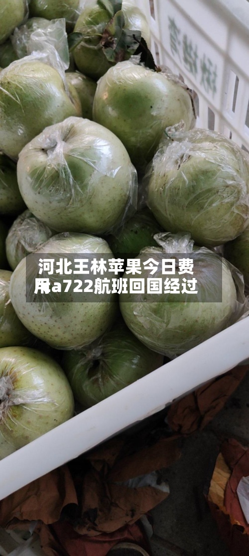 河北王林苹果今日费用/ca722航班回国经过