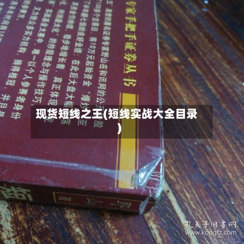 现货短线之王(短线实战大全目录)-第3张图片