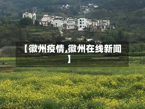 【徽州疫情,徽州在线新闻】-第2张图片