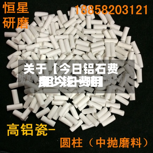 关于【今日铝石费用,铝今日费用多少钱一吨】