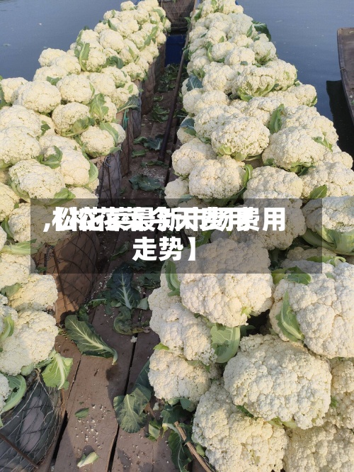 【松花菜今天费用
,松花菜最新市场费用
走势】-第2张图片