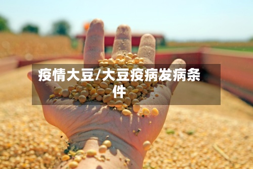 疫情大豆/大豆疫病发病条件-第3张图片