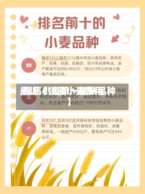 最近【强筋小麦费用,强筋小麦第一梯队品种】