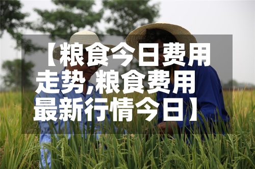 【粮食今日费用走势,粮食费用最新行情今日】