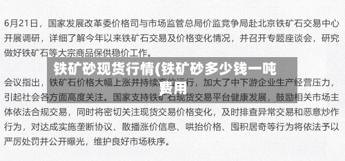 铁矿砂现货行情(铁矿砂多少钱一吨费用
)-第2张图片