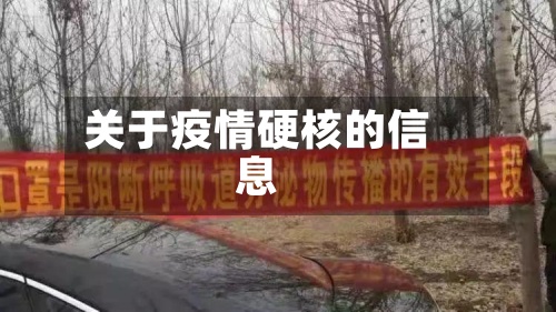关于疫情硬核的信息-第2张图片