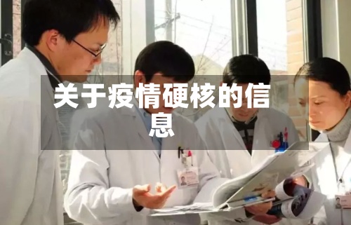关于疫情硬核的信息