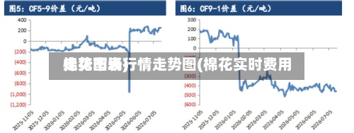 棉花市场行情走势图(棉花实时费用走势图表)