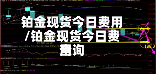 铂金现货今日费用
/铂金现货今日费用
查询-第2张图片