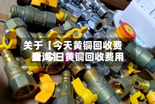 关于【今天黄铜回收费用
表,今日黄铜回收费用
查询】-第2张图片