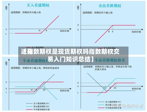 近来【指数期权是现货期权吗指数期权交易入门知识总结】-第2张图片