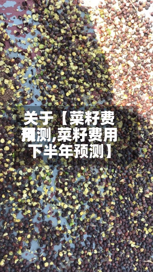 关于【菜籽费用
预测,菜籽费用
下半年预测】-第2张图片