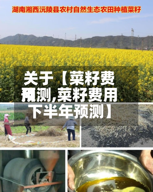 关于【菜籽费用
预测,菜籽费用
下半年预测】-第3张图片