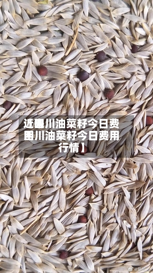 近来
【四川油菜籽今日费用
四川油菜籽今日费用
行情】-第2张图片
