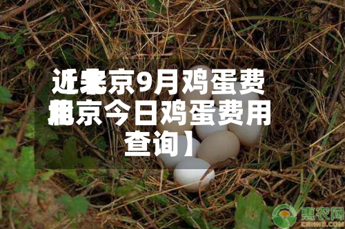 近来【北京9月鸡蛋费用北京今日鸡蛋费用查询】