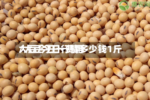 大豆今日一费用/大豆今日行情多少钱1斤-第2张图片