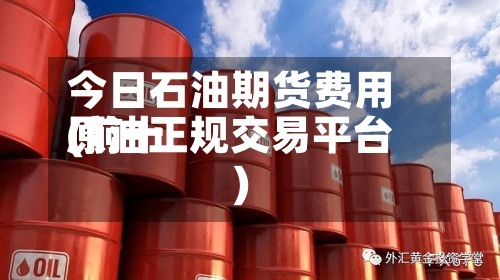 今日石油期货费用(前十原油正规交易平台)